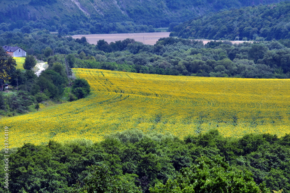 Obraz premium Summer panoramic landscape from the top point