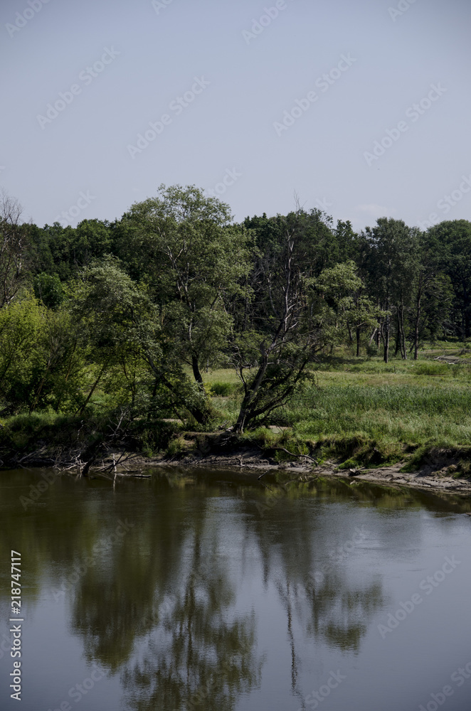 View on a river