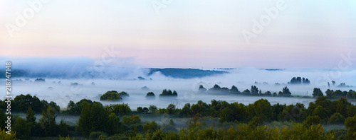 Beautiful landscape with trees in the fog