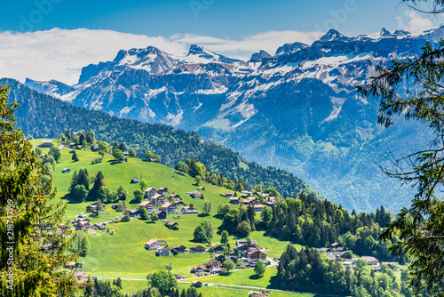 Switzerland, Beatenberg village and Alps view 
