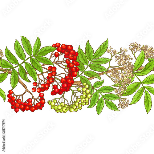 rowan branch vector pattern