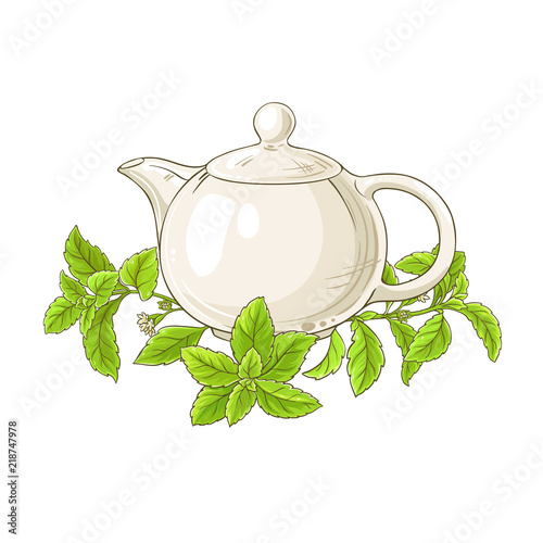 stevia tea illustration