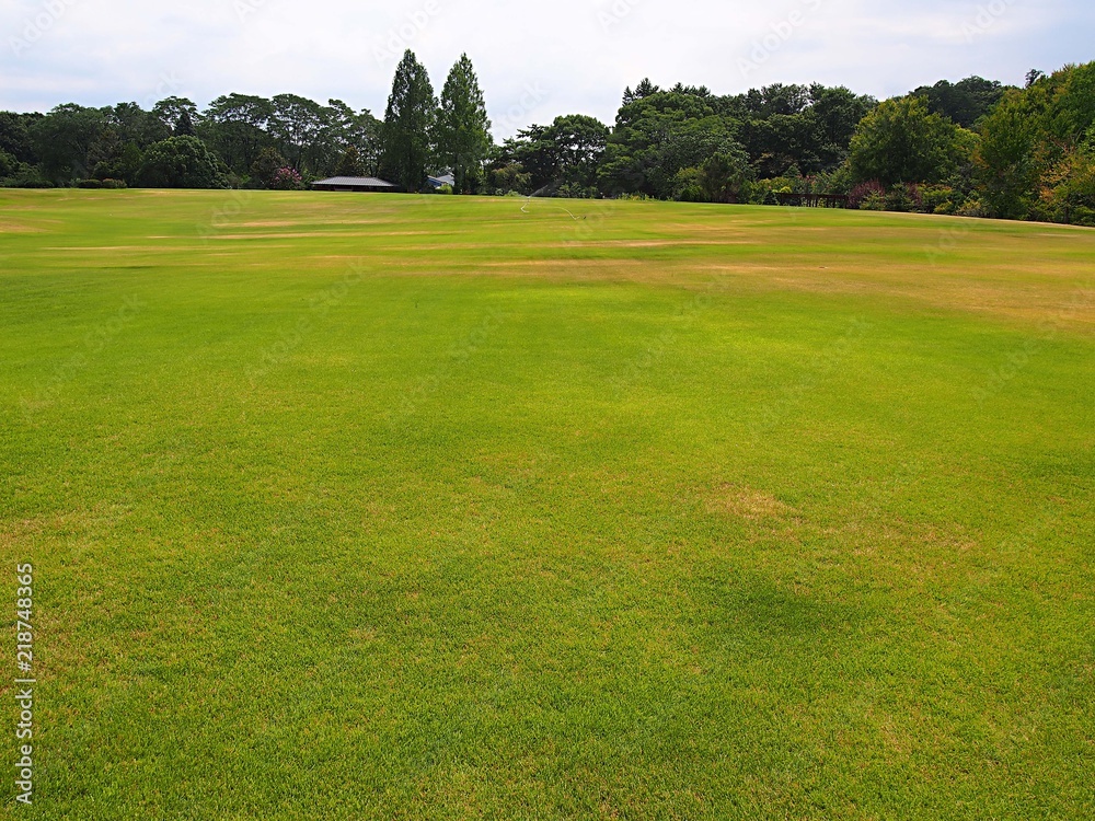 夏の大芝生園 夏の大芝生園