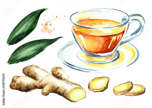 Ginger tea set, Ginger root, concept of healthy drink. Watercolor hand drawn illustration isolated on white background