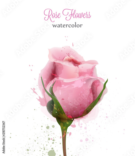 Watercolor pink rose isolated Vector card. Wedding invitation or save the date template. Beautiful backgrounds