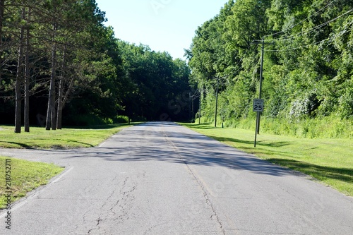 The empty park road in the park on a sunny summer day.