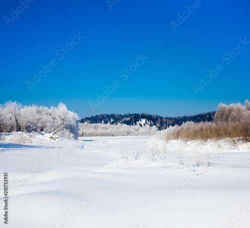 Winter landscape. Cold day. © gornist
