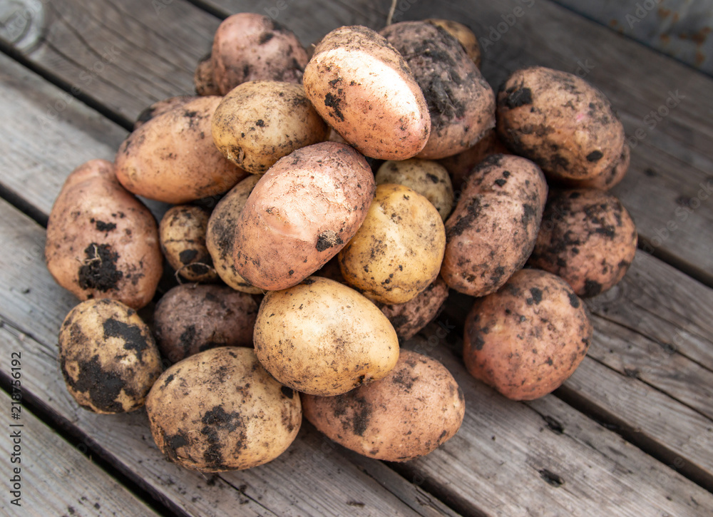 fresh potatoes on a wooden background fresh potatoes on a wooden background