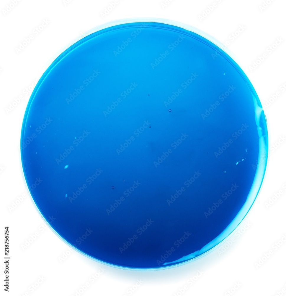 Empty Petri dish, close-up view Empty Petri dish, close-up view