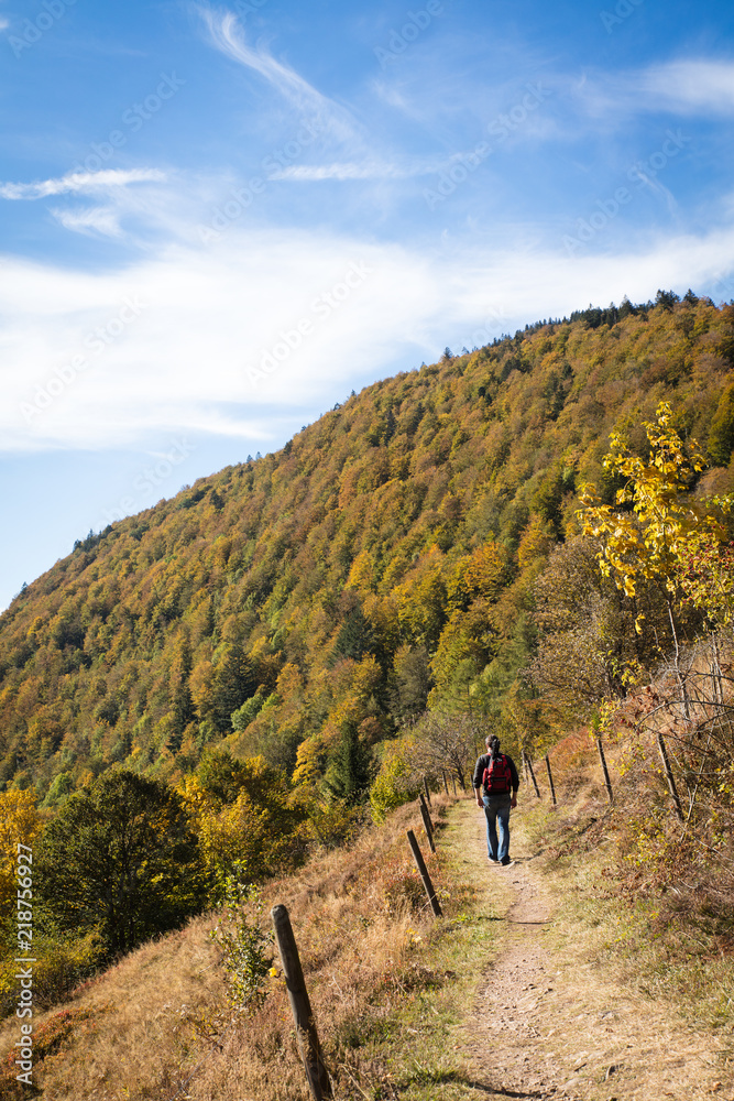 Man is hiking on a beautiful trail in the black forest
