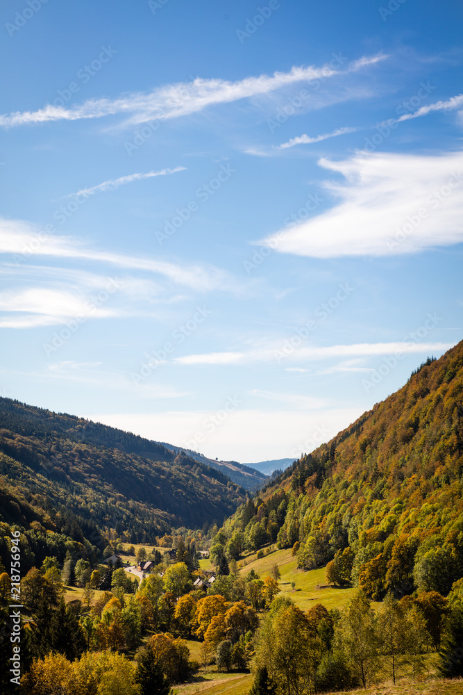 beautiful valley in the black forest, autumn season