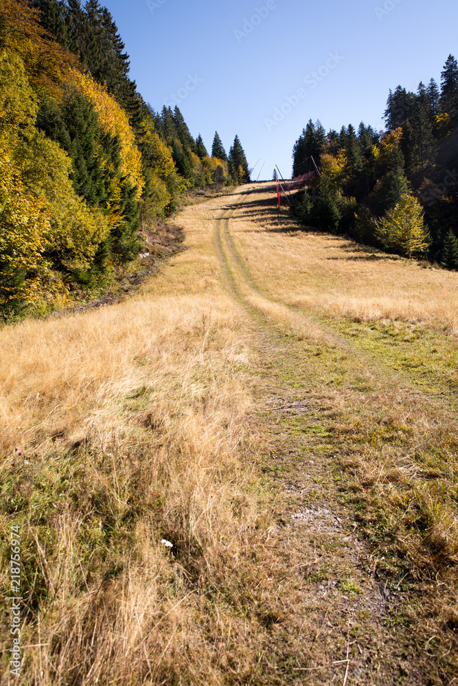 slope in the black forest in the autumn season