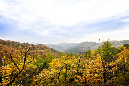 Fototapeta Naklejka Na Ścianę i Meble -  autumn season, hilly and colorful landscape from the Thuringian Forest