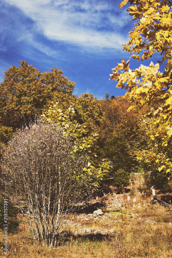 rocky hill with colorful trees and blue sky, autumn season