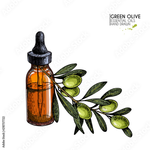 Hand drawn set of essential oils. Vector olive oil and branch. Medicinal herb with glass dropper bottle. Engraved colored art. Ccosmetics, medicine, treating, aromatherapy, package design healthcare..