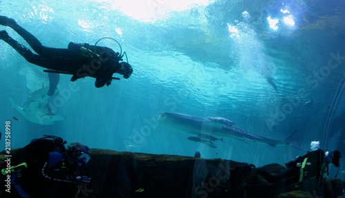 Scuba diving aquarium