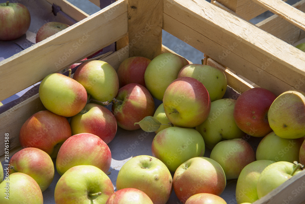 Apples in a box at a market stall at a farmers market with local produce Apples in a box at a market stall at a farmers market with local produce