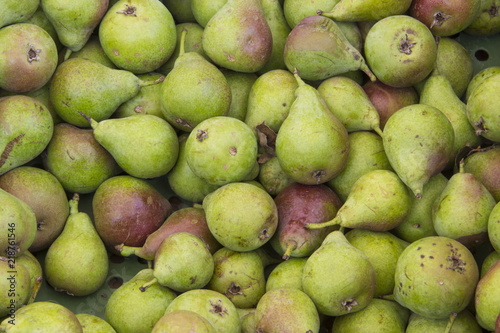 Old regional pear variety, called in Germany Stuttgarter Gaishirte