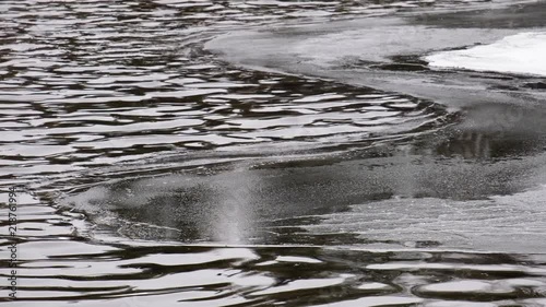 Video of  water ripples and edge of an ice floe on Altai river Biya in Spring season photo