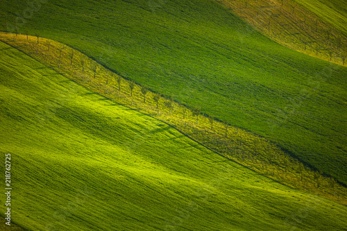 Moravian fields in spring © PawelUchorczak