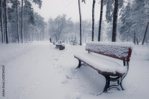 Benches in winter snowy park at morning © Nickolay Khoroshkov