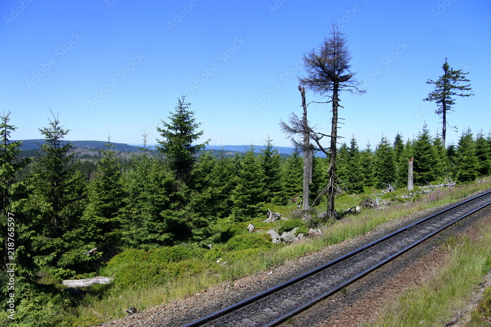 Fototapeta premium Fernblick, Eisenbahn und tote Bäume auf dem Brocken im Harz