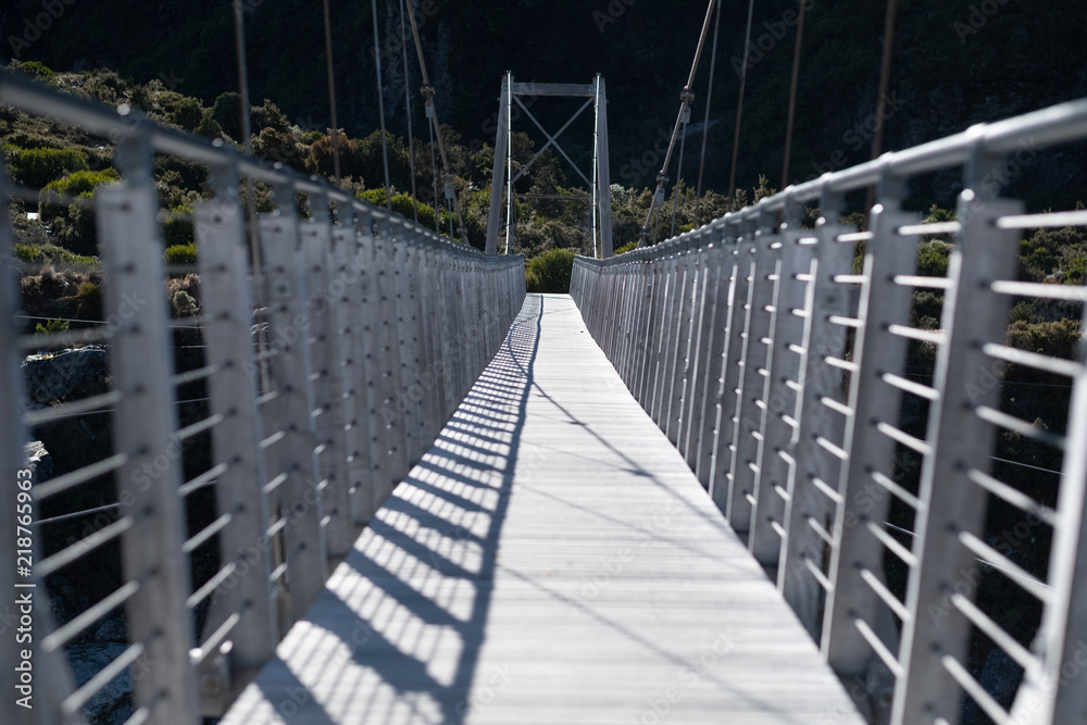 Fototapeta premium Explore Glaciers bridge