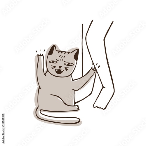 Aggressive cat scratching leg of its owner isolated on white background