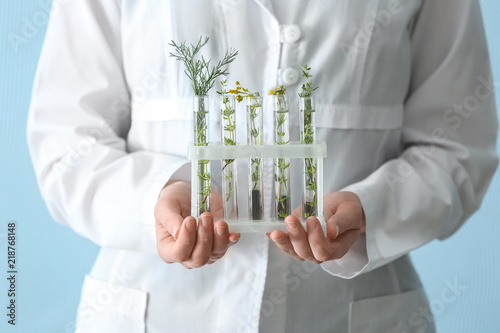 Laboratory worker holding test tubes with plants on color background, closeup