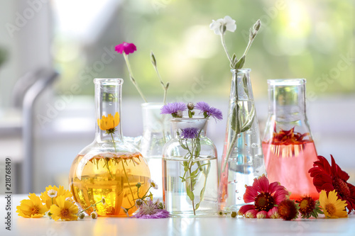 Flasks with plants on table...