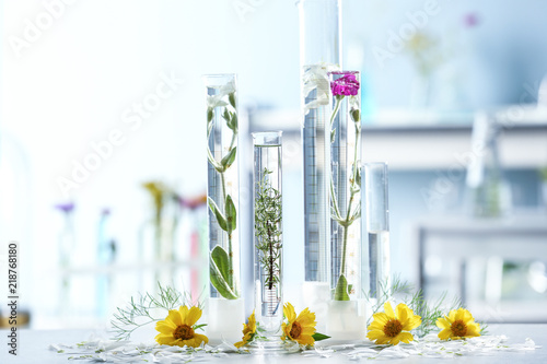 Test tubes with plants and ...