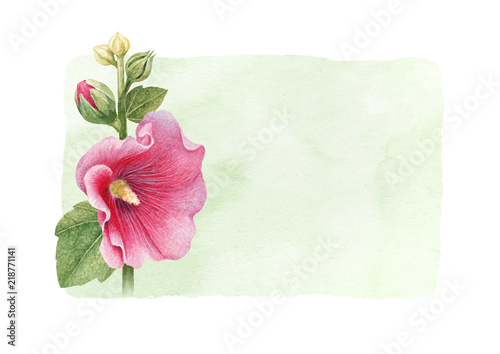 Watercolor illustration of a mallow flower. Perfect for greeting cards and invitations