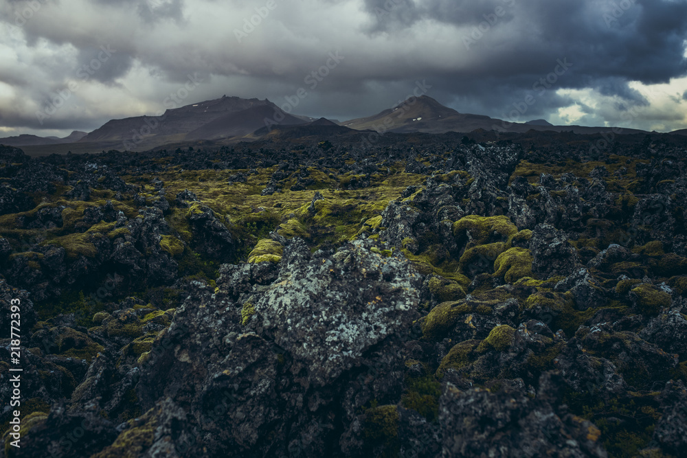 Dark old Volcanic lava fields with moss and mountains in background in Iceland