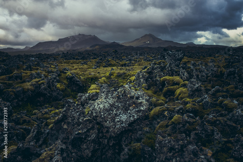 Dark old Volcanic lava fields with moss and mountains in background in Iceland