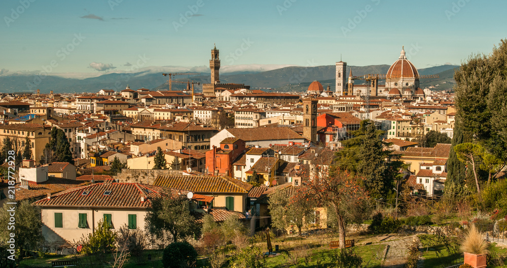 Panoramic view of Florence, buildings roofs, morning