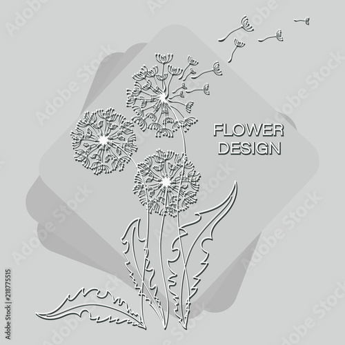 Fototapeta Naklejka Na Ścianę i Meble -  Elegant dandelions. Flight in the wind. Floral design. Banner, poster, postcard with silhouettes of dandelions on a gray background. Flying parachutes of a dandelion.