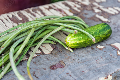 Canvastavla the green beans and cucumber on the old bench in the garden