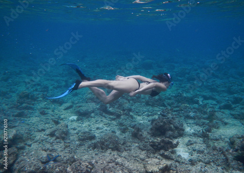young woman in bikini with fins doing snorkeling in tropical sea