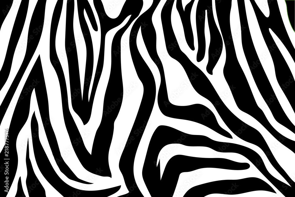 Zebra Stripes Pattern. Zebra print, animal skin, tiger stripes, abstract pattern, line background, fabric. Amazing hand drawn vector illustration. Poster, banner. Black and white artwork, monochrom Zebra Stripes Pattern. Zebra print, animal skin, tiger stripes, abstract pattern, line background, fabric. Amazing hand drawn vector illustration. Poster, banner. Black and white artwork, monochrom