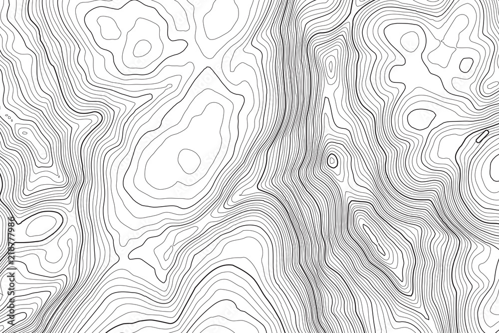 Fototapeta Vector contour topographic map background. Topography and geography map grid abstract backdrop. Business concept. Vector illustration