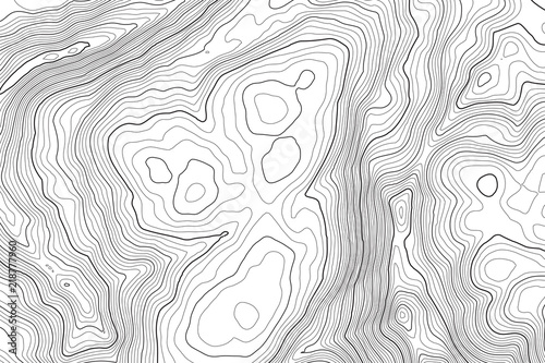 Vector contour topographic map background. Topography and geography map grid abstract backdrop. Business concept. Vector illustration