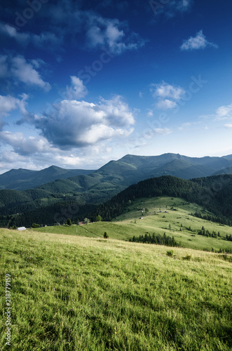 Fototapeta Naklejka Na Ścianę i Meble -  Carpathian mountains summer landscape with blue sky and clouds, natural outdoor background