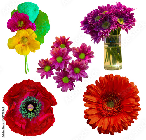 Fototapeta Naklejka Na Ścianę i Meble -  set of flowers isolated on white background