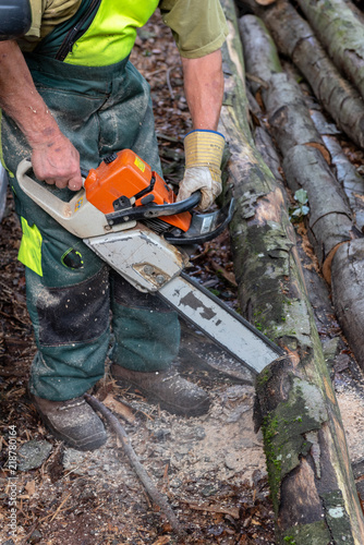 Lumberjack cutting trees with a chainsaw