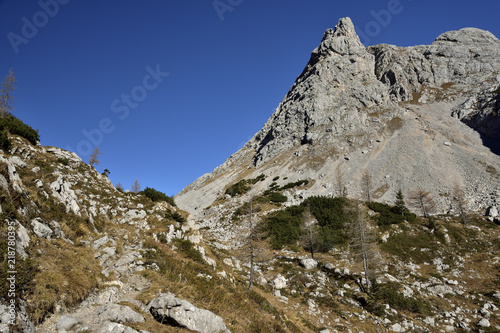 Alpine nature by Berchtesgaden