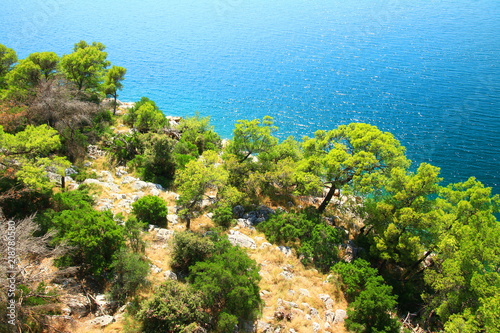 Blue Adriatic sea and green coast with pine trees