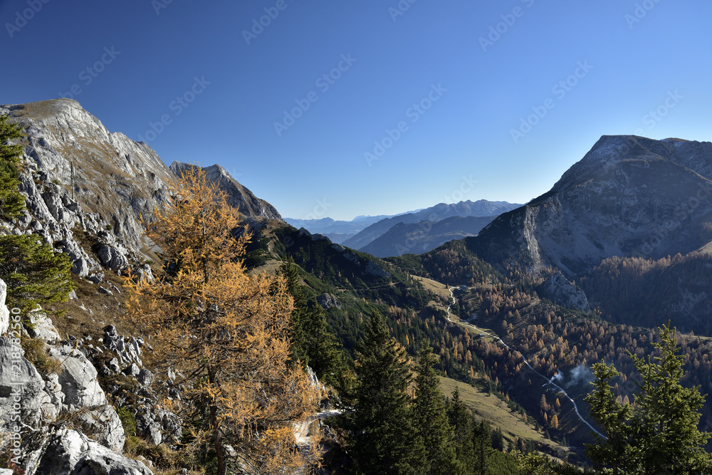 Panoramic view from 