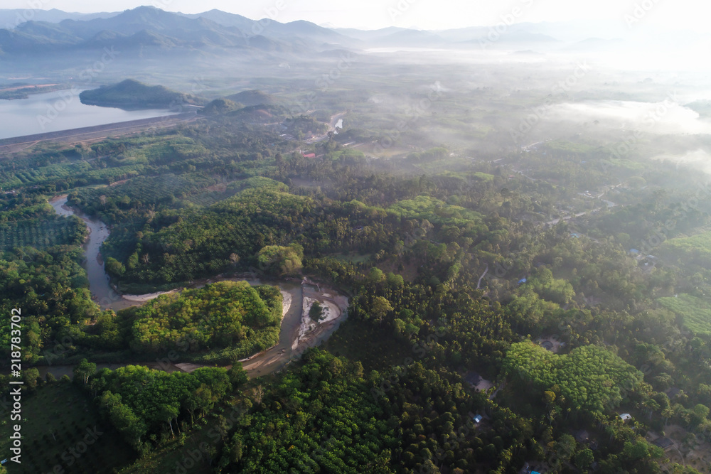 Tropical green tree forest with canal river from dam morning sunrise