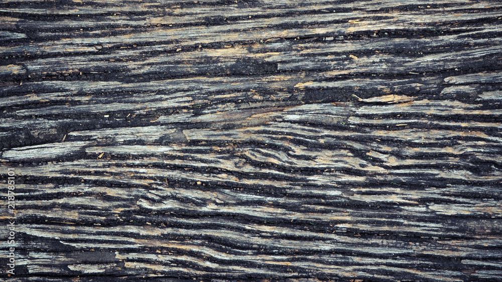 Fototapeta premium dark wood planks. background.