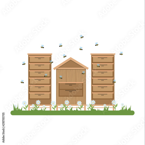 Apiary with wooden hives and bees flying around